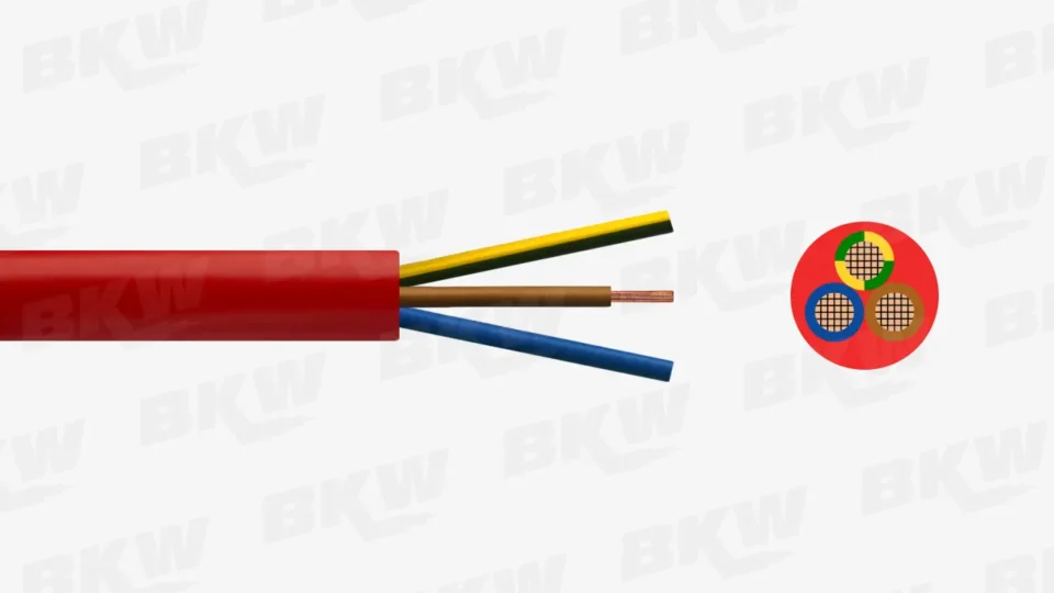 BKW-Flex
